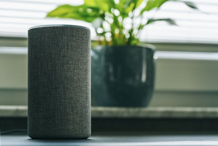 An Amazon Alexa sits on a windowsill beside a potted plant.